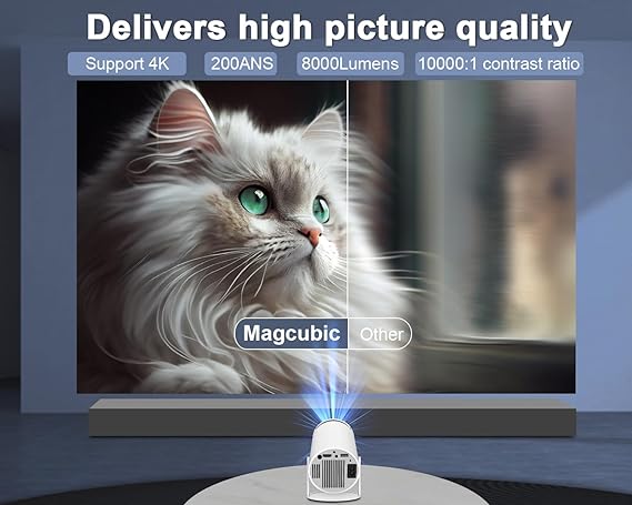 The Mini Projector 4K 1080P Support